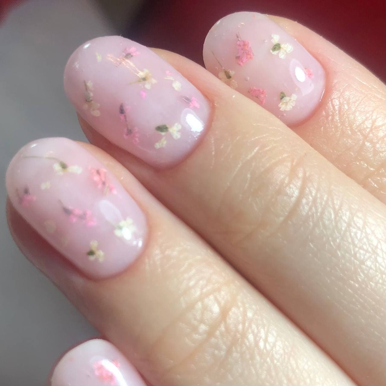 Обложка Алеся Содолева